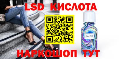 крисы Шахты