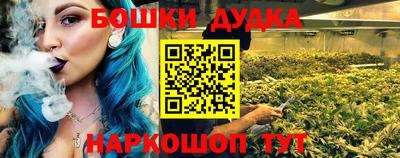 крисы Шахты