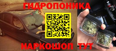СК Шебекино