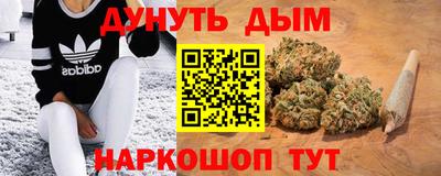 крисы Шахты