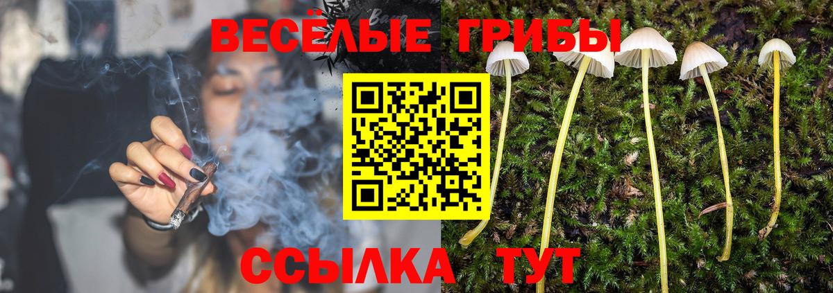 Галлюциногенные грибы мухоморы  Вход с VPN  Артём 