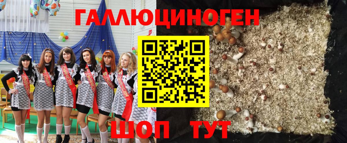 Псилоцибиновые грибы мухоморы Артём