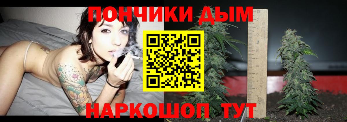 Шишки марихуана план  Марихуана индика  Бошки Шишки VHQ  Артём  Вход с VPN 